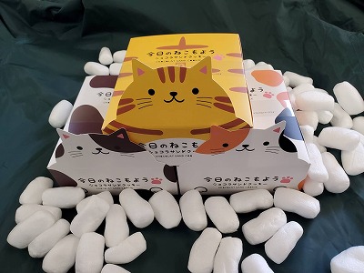 今日のねこもよう