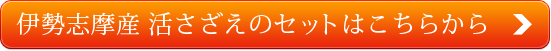 伊勢志摩産 活さざえのセットはこちらから